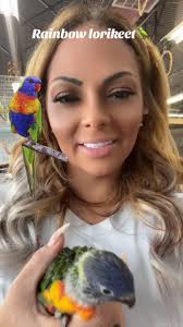 Rainbow Lorikeet Noise