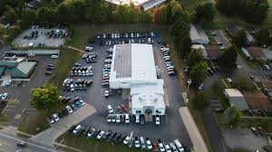 Image result for Viridivia