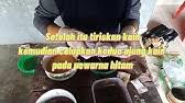 Feses warna hitam juga dapat disebabkan oleh adanya perkembangan tumor yang berlokasi di usus besar anda. Pewarnaan Shibori Dengan Napthol Youtube