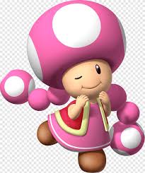 What creature is toad from mario? Mario Bros Toad Mario Kart Double Dash Mario Kart 8 Mario Heroes Super Mario Bros Png Pngegg