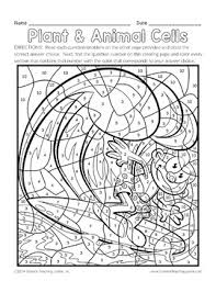 Worksheets are plant and animal cells animal and plant cells work the einle picture. Plant And Animal Cells Color By Number By Science Teaching Junkie Inc