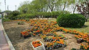 Zudem kann man jetzt auch schon die ersten blumen aussäen. Gartenarbeiten Im Februar Sat 1 Ratgeber
