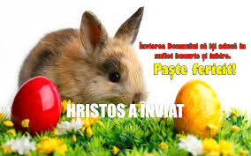 Gratuite pentru uz comercial fără atribuiri necesare fără drepturi de autor. Mesaje È™i Imagini De PaÈ™te 2019 Cele Mai Frumoase FelicitÄƒri Pentru Cei Dragi Imagini Personalizate