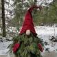 Festive Foliage Gonks: Craft Your Own Christmas event image