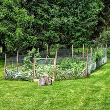 Garden fencing is just a part of the range of products we offer. How To Make A Great Garden Fence Garden Fence Diy