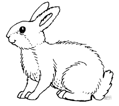 Color pictures, email pictures, and more with these easter coloring pages. 10 Places For Free Easter Bunny Coloring Pages