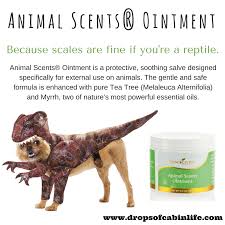 Animal Scents Ointment Food Animals Dog Food Recipes Young Living Pets