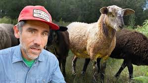 What could possibly go wrong now..