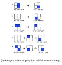 Check spelling or type a new query. Begini Rumus Rubik 2x2 Untuk Pemula