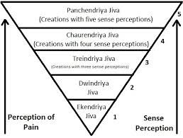 Jain Vegetarianism Wikipedia