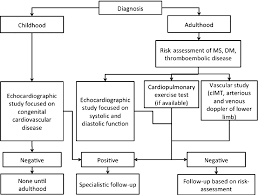 figure 1 from klinefelter syndrome cardiovascular system