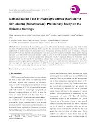 Image result for Halopegia azurea