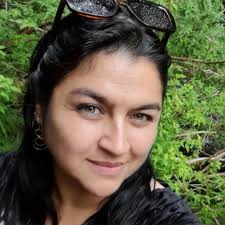 Diputado Diego Paulsen