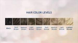 Clairol Natural Instincts Color Chart Hair Coloring