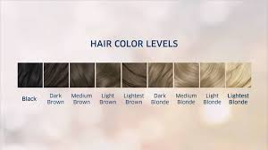 clairol natural instincts color chart hair coloring