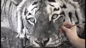 I had a lot of fun drawing this live during my livestream tonight. Hyperrealistic Tiger Drawing 85 Hour Time Lapse Youtube