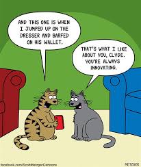 Watch videos and full episodes of your favorite pbs kids shows like curious george, dinosaur train and sesame street! Cat Comics Cat Jokes Cat Comics Cartoon Cat
