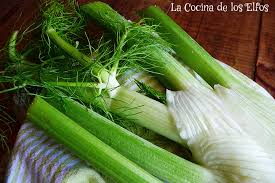 Su riqueza en ácido ascórbico, oleico y linoleico, así como la presencia de beta‐sitosterol y de los por otro lado, si tenemos exceso de fuego interno, sobre cocinamos o quemamos todo lo que comemos. La Cocina De Los Elfos Hinojo Fennel
