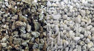 Perlite Vs Vermiculite What S The Difference Epic Gardening In 2020 Recycled Concrete Flora Garden Garden Plants