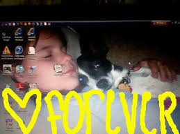 Share posts about your dogs in the community