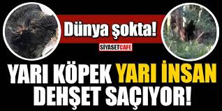 Dunya Sokta Yari Kopek Yari Insan Dehset Saciyor
