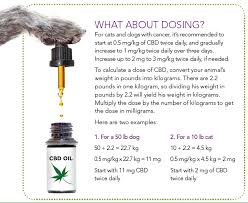 If you have cancer or are looking to take cbd oil for medicinal uses and you happen to. How Cannabis Benefits Dogs And Cats With Cancer Animal Wellness Magazine