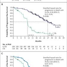Maybe you would like to learn more about one of these? Pdf Obinutuzumab Plus Chlorambucil In Patients With Cll And Coexisting Conditions