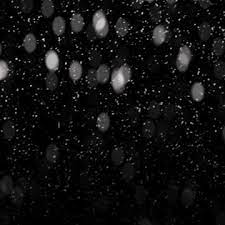 Closeup Background Texture Of Snowflakes During A Snowfall On A Black Background Star Light Freeze Png Transparent Clipart Image And Psd File For Free Downlo Textured Background Black Backgrounds Texture