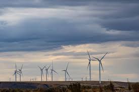 Have a family meeting, and take notes about what family members think sustainability means. E Sci Vs Sustainability A Full Merit Badge Comparison Scoutsmarts