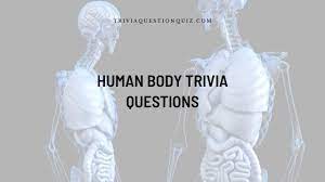 This applies to exterior surface, as it covers the body, appearing to have the largest surface area of all the organs. 100 Basic Human Body Trivia Questions U Must Know Trivia Qq