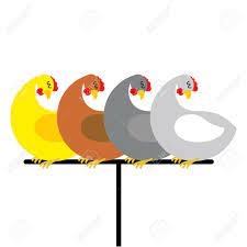 Das von uns entdeckte organ sitzt in auslappungen des rückenmarks und ist allein für die kontrolle des gehens und. Huhn Sitzt Auf Barsch Vogel Am Bauernhof Sitzen Auf Vogel Stange Lizenzfrei Nutzbare Vektorgrafiken Clip Arts Illustrationen Image 45693242