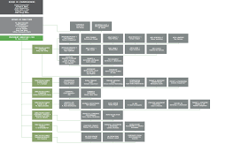 Organization Structure