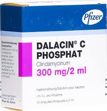 Dalic'in ismi geçtiğimiz sezon başında da gündeme gelmiş. Dalacin C Phosphat Injektionslosung 300mg 10 Ampullen 2ml In Der Adler Apotheke
