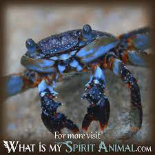 Read on to learn more. Meaning Of Crab In Dreams What Is My Spirit Animal Spirit Totem Power Animals