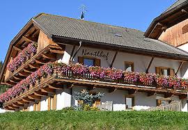 La valle verde che spazia fino alle dolomiti unesco. Agriturismo Nantlhof Dobbiaco Valle San Silvestro In Alto Adige Sudtirolo