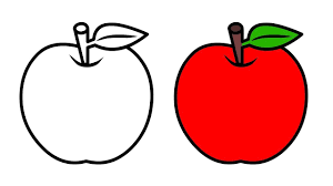 Tak hanya digunakan sebagai makanan buah buahan juga biasa digunakan sebagai obat kesehatan. Cara Menggambar Dan Mewarnai Buah Apel Youtube