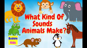 Animal Names And Sounds Learn About Names Of Different Animals And The Fun Learning Educational Videos Learning