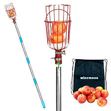Place the fruit fly trap in an area where fruit flies seem to be an issue. Winemana Fruit Picker With Cushion And 8 Ft Telescopic Extension Pole Professional Metal Tree Fruit Picker Pole With A Storage Bag 9 Ft Fruit Catcher Basket For Any Kinds Of Fruits Pricepulse