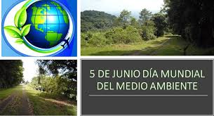 Si supiera que el mundo. 5 De Junio Dia Mundial De Medio Ambiente Sitio Oficial Cocesna
