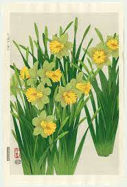 Daffodil By Nisaburo Ito Japanese Woodblock Printing Japanese Art Styles Daffodils