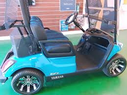 Image result for Green 2024 Fleet