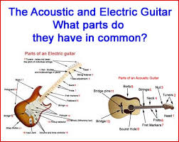 Go over each of the main components of the guitar, asking students what shapes each component resembles (the neck tell students that most of the shapes of guitar components are similar, but the body of electric guitars come in different shapes, and some. Parts Of A Guitar Guitar Diagrams