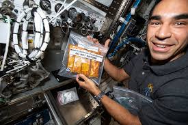 Astronaut Raja Chari