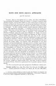 Image result for Bertiera angusiana