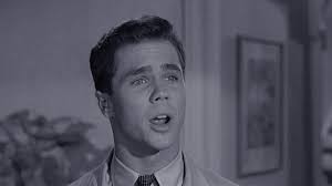 Leave It to Beaver" The Parking Attendants (TV Episode 1963)