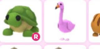 The crocodile was added into the game with the other jungle egg pets on august 30, 2019. Trading Turtle And Flamingo Ps Looking For Crocodile For Flamingo Adoptmerbx