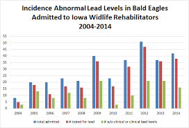 eagles and lead raptor rehabilitation education and research