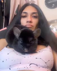 This year was ruder than a playground bully, & 1 don’t think l’ve ever said  “wtf” so many times. SO since l haven’t been posting much, here’s a HUGE  dump of content to give some idea of my year lol- ...