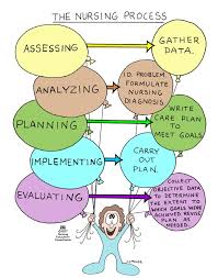 The Nursing Process Nursing Process Nursing Care Plan Nursing Mnemonics