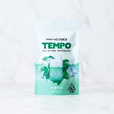 Image result for Tempo One